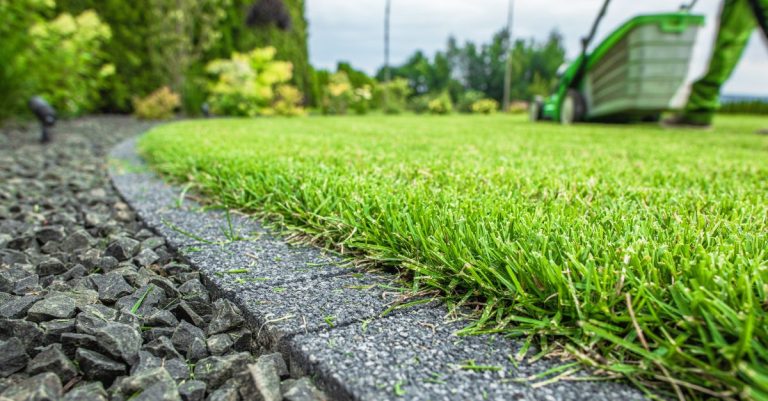 Lees meer over het artikel Hoe houd je jouw grasmat groen en gezond?